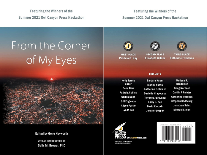 From the Corner of My Eyes front and back cover featuring the finalists of the Summer 2021 Owl Canyon Press Hackathon